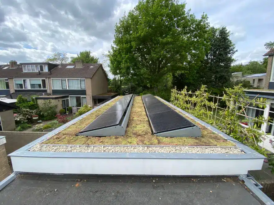 Sedumdak met zonnepanelen in Amerongen