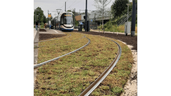 Trambaan Diemen met sedum bodembedekking met tram