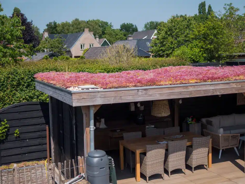 Groendak op veranda in Elst