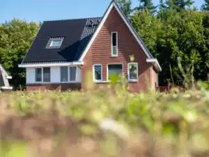 Groendak Austerlitz wijkproject