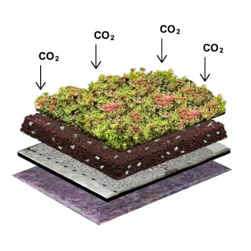 Wat is een carbon groendak
