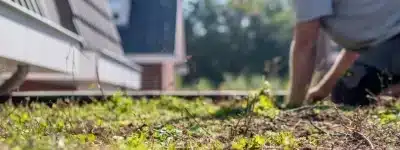 Sedumdak-onderhouden