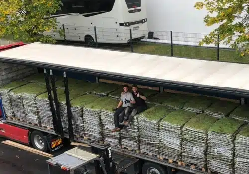 Groendak sedummatten