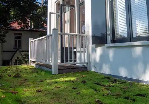 Onderhoud sedum als bodembedekker