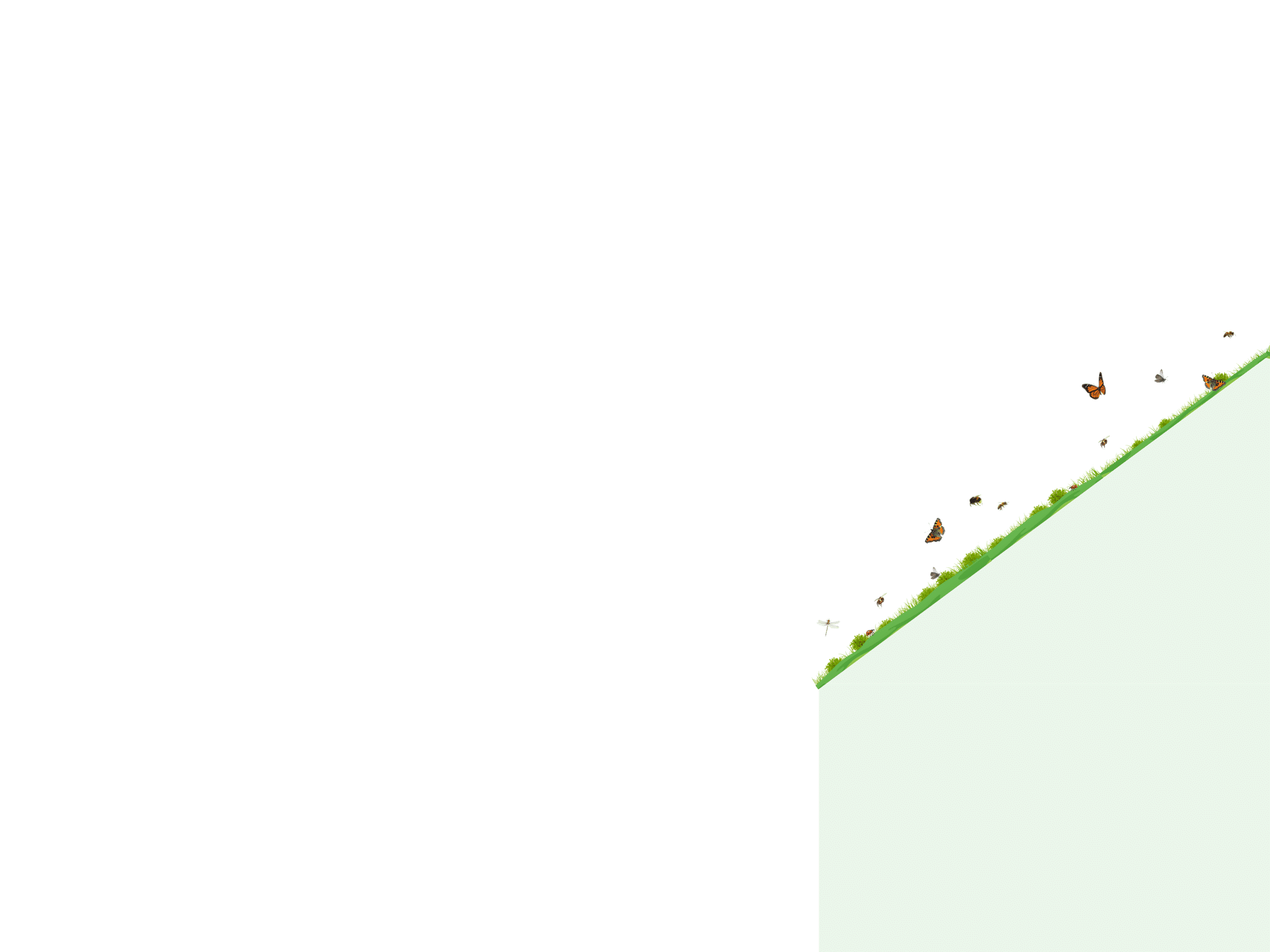 Kennisbank element groendak