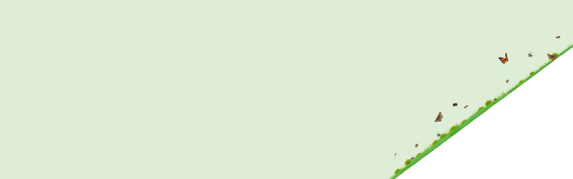 Header kortingsactie