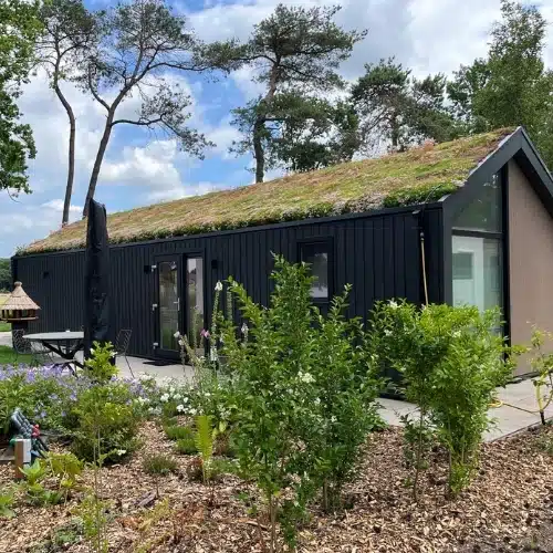 Sedum op schuin dak