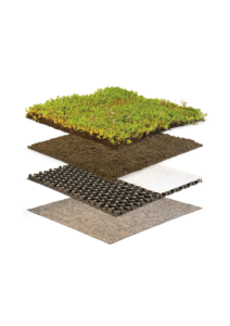 Lagen sedumdak visueel weergegeven