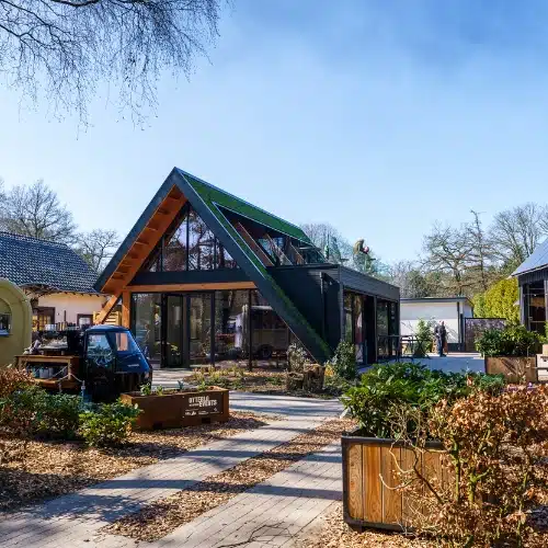 Praktisch voorbeeld groendak