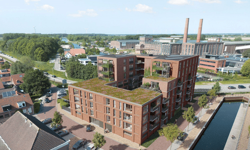 Retentiedak, recent project van NatureGreen