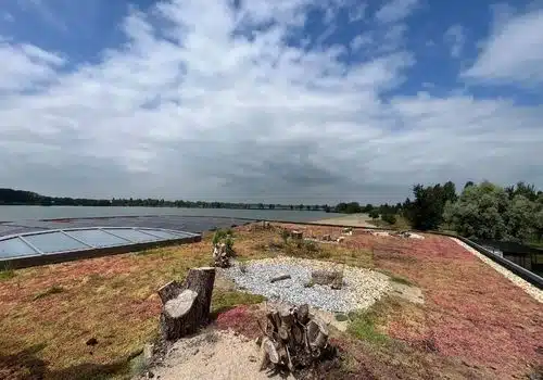 Natuurdak Strandpaviljoen